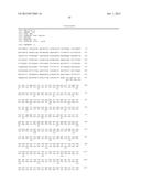 METHODS FOR THE DIAGNOSIS AND TREATMENT OF SJOGREN S SYNDROME diagram and image