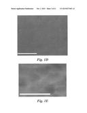 Ultrathin, Molecular-Sieving Graphene Oxide Membranes for Separations     Along with Their Methods of Formation and Use diagram and image