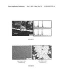 BIOACTIVE COMPOSITES OF POLYMER AND GLASS AND METHOD FOR MAKING SAME diagram and image