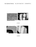 BIOACTIVE COMPOSITES OF POLYMER AND GLASS AND METHOD FOR MAKING SAME diagram and image