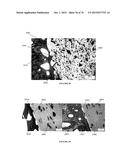 BIOACTIVE COMPOSITES OF POLYMER AND GLASS AND METHOD FOR MAKING SAME diagram and image