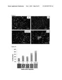 BACTERICIDAL SURFACE PATTERNS diagram and image