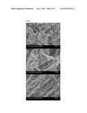 CARBON NANOTUBE HAVING HIGH SPECIFIC SURFACE AREA AND METHOD FOR     MANUFACTURING SAME diagram and image