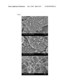 CARBON NANOTUBE HAVING HIGH SPECIFIC SURFACE AREA AND METHOD FOR     MANUFACTURING SAME diagram and image