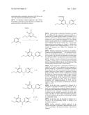 5-FLUORO-N-(PYRIDIN-2-YL)PYRIDIN-2-AMINE DERIVATIVES CONTAINING A SULFONE     GROUP diagram and image