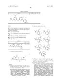 5-FLUORO-N-(PYRIDIN-2-YL)PYRIDIN-2-AMINE DERIVATIVES CONTAINING A SULFONE     GROUP diagram and image