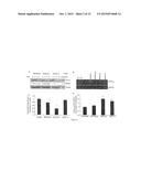 COMPOUNDS USEFUL FOR TREATING OCULAR NEOVASCULAN diagram and image