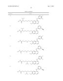 QUINAZOLINE BASED EGFR INHIBITORS CONTAINING A ZINC BINDING MOIETY diagram and image