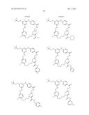 COMPOUNDS FOR THE TREATMENT OF HEPATITIS C diagram and image