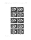 RAPIDLY DISSOLVING PHARMACEUTICAL COMPOSITION diagram and image