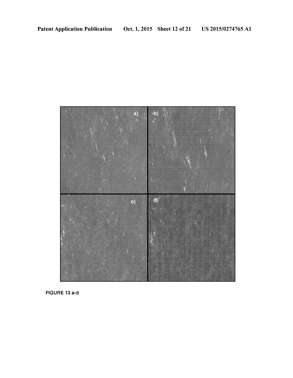 RAPIDLY DISSOLVING PHARMACEUTICAL COMPOSITION - diagram, schematic, and image 13