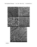 RAPIDLY DISSOLVING PHARMACEUTICAL COMPOSITION diagram and image