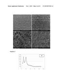 RAPIDLY DISSOLVING PHARMACEUTICAL COMPOSITION diagram and image