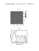 POLYPEPTIDE HAVING MULTIPLE DIRECTIONALITY AND SELF-ASSEMBLED     NANOSTRUCTURE CONTAINING THE SAME diagram and image