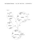 METHOD FOR RECOMBINANT PRODUCTION OF LABYRINTHOPEPTINS AND FUNCTIONAL     DERIVATIVES THEREOF diagram and image