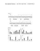 METHOD FOR RECOMBINANT PRODUCTION OF LABYRINTHOPEPTINS AND FUNCTIONAL     DERIVATIVES THEREOF diagram and image