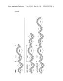 METHOD FOR RECOMBINANT PRODUCTION OF LABYRINTHOPEPTINS AND FUNCTIONAL     DERIVATIVES THEREOF diagram and image