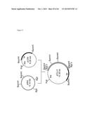 METHOD FOR RECOMBINANT PRODUCTION OF LABYRINTHOPEPTINS AND FUNCTIONAL     DERIVATIVES THEREOF diagram and image