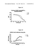 VEGF Analogs and Methods of Use diagram and image