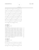 VEGF Analogs and Methods of Use diagram and image