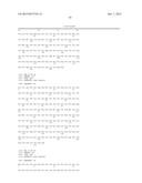 VEGF Analogs and Methods of Use diagram and image