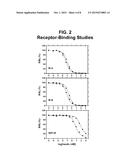 LONG-ACTING SINGLE-CHAIN INSULIN ANALOGUES diagram and image