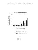 HETERODIMER BINDING PROTEINS AND USES THEREOF diagram and image