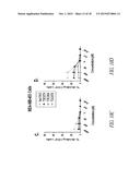 HETERODIMER BINDING PROTEINS AND USES THEREOF diagram and image