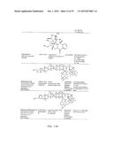 ANTIBODY TOXIN CONJUGATES diagram and image