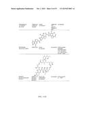 ANTIBODY TOXIN CONJUGATES diagram and image