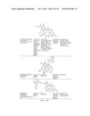 ANTIBODY TOXIN CONJUGATES diagram and image