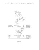 ANTIBODY TOXIN CONJUGATES diagram and image