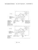 ANTIBODY TOXIN CONJUGATES diagram and image