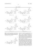 ANTIBODY TOXIN CONJUGATES diagram and image