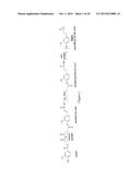 POLY(DIHYDROFERULIC ACID) A BIORENEWABLE POLYETHYLENE TEREPHTHALATE MIMIC     DERIVED FROM LIGNIN AND ACETIC ACID AND COPOLYMERS THEREOF diagram and image