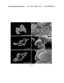 DOPA-MELANIN FORMATION IN HIGH IONIC STRENGTH SOLUTIONS diagram and image