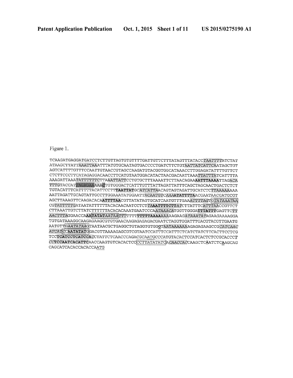 CHIMERIC PROMOTERS AND METHODS OF USE - diagram, schematic, and image 02