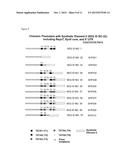 CHIMERIC PROMOTERS AND METHODS OF USE diagram and image