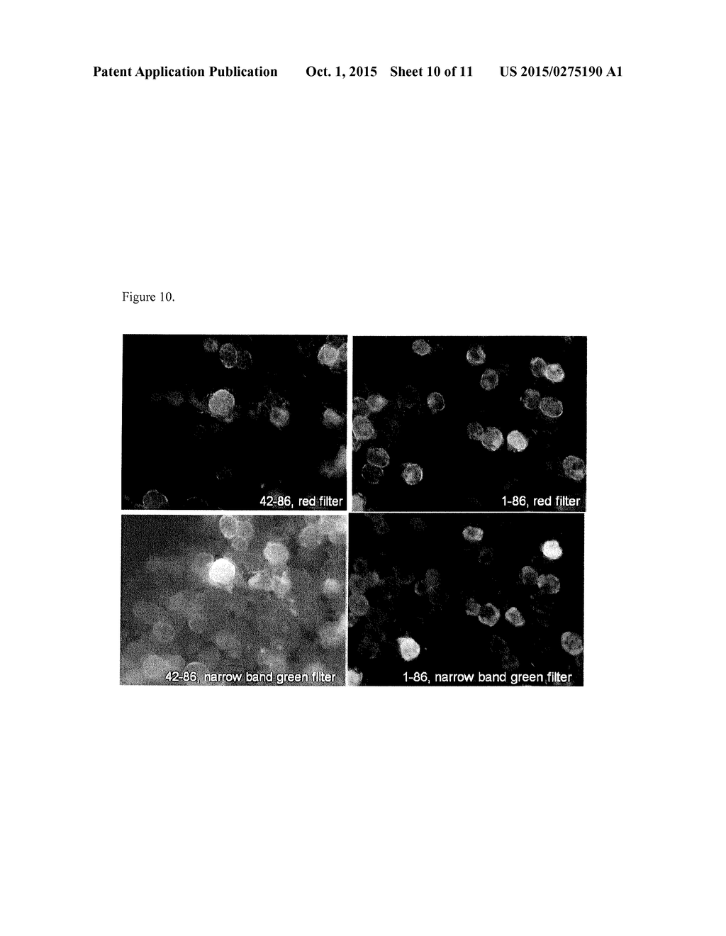 CHIMERIC PROMOTERS AND METHODS OF USE - diagram, schematic, and image 11