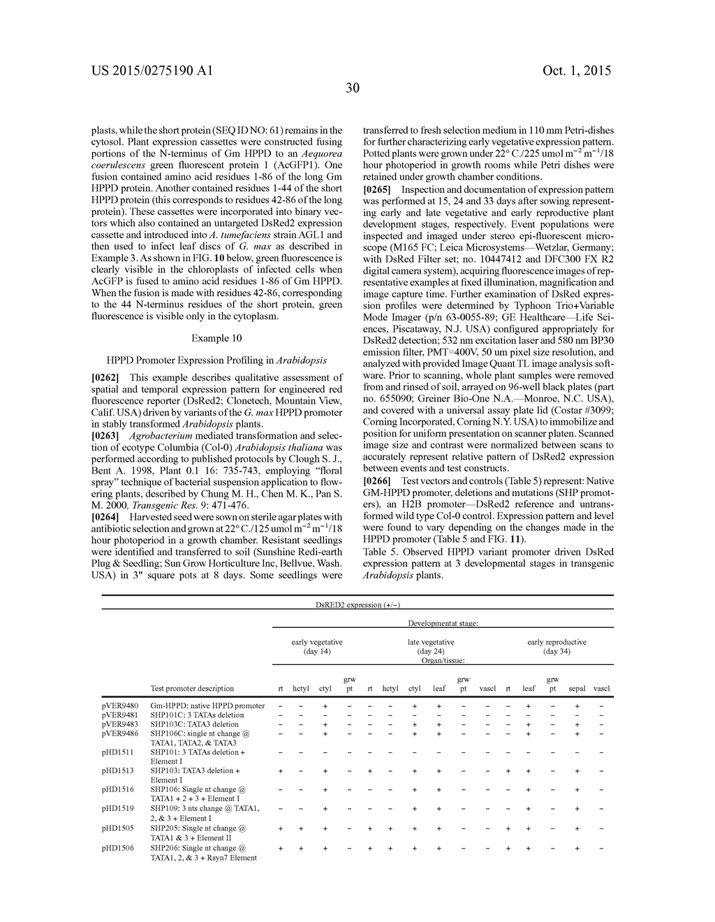 CHIMERIC PROMOTERS AND METHODS OF USE - diagram, schematic, and image 42