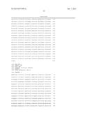 CHIMERIC PROMOTERS AND METHODS OF USE diagram and image