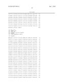 CHIMERIC PROMOTERS AND METHODS OF USE diagram and image