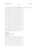 CHIMERIC PROMOTERS AND METHODS OF USE diagram and image