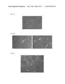 METHODS AND PRODUCTS FOR EXPRESSING PROTEINS IN CELLS diagram and image