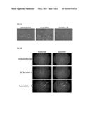 METHODS AND PRODUCTS FOR EXPRESSING PROTEINS IN CELLS diagram and image