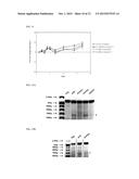 METHODS AND PRODUCTS FOR EXPRESSING PROTEINS IN CELLS diagram and image