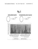 METHODS AND COMPOSITIONS INVOLVING MIRNA AND MIRNA INHIBITOR MOLECULES diagram and image