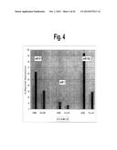 METHODS AND COMPOSITIONS INVOLVING MIRNA AND MIRNA INHIBITOR MOLECULES diagram and image