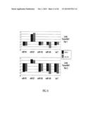 METHODS AND COMPOSITIONS INVOLVING MIRNA AND MIRNA INHIBITOR MOLECULES diagram and image