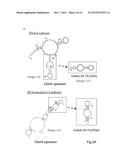 NEUTRALIZING RNA APTAMERS AGAINST PDGFBETA AND USES THEREOF IN THE THERAPY     AND DIAGNOSIS OF HYPERPROLIFERATIVE DISEASES diagram and image